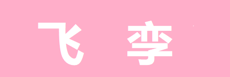 云南飞孪无人机有限公司 